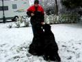 videos de Umpa & Ulysse dans la neige