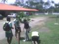videos de 