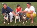 i make it rain pitbull video