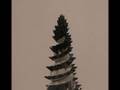 Morpho Tower