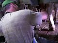 Milking in Parlor Milking in Parlor