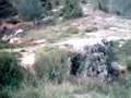 Three mycenaean bridges in the Argolid