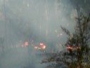 Fire in Warburton