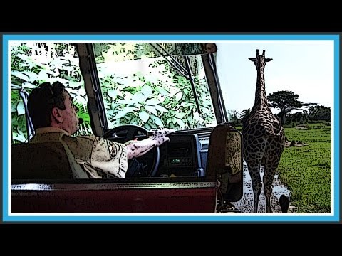 how to be a disney tour guide