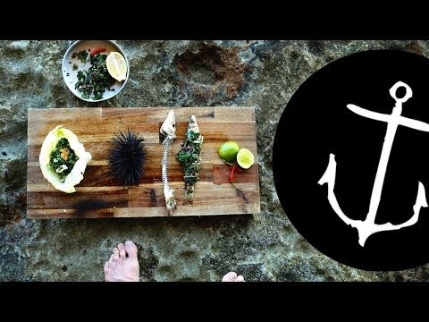 how to harvest sea urchin roe