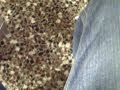 CLIP0008