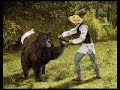 THE BEAR´S PAW
