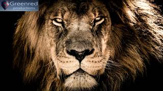 Studying Music, Deep Focus Music with Binaural Beats, Concentration Music, Study Music