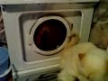 ASKO AM60 wash