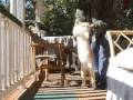Cuddles The Dancing Cat - Silly Cuddles The Dancing Cat - Silly
