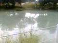clases de pesca con esteban parte 1