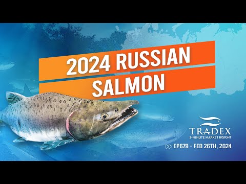 3MMI - Russia Salmon Forecast, Market Dynamics, Season Outlook