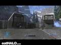 Supr rask snipe