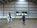 Benny trotting 1