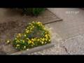 Kurdischer Ehrenmord