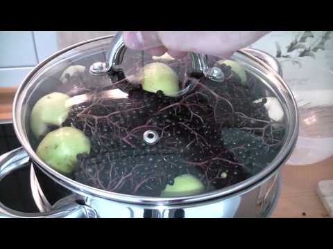Äpfel und Holunder selber entsaften mit dem Dampfentsafter