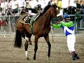 Barbaro