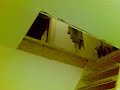 Steiltreppen-steigen lernender Pitbull =)