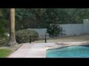 Never eat sandwiches by your pool