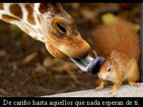 Imagen de previsualización de YouTube