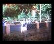 parkour gato...