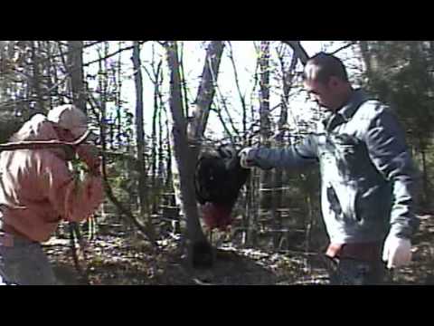 See video