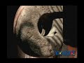 Xaret Riwiera Maya Xaret Riwiera Maya