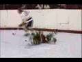 slapshot