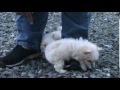 videos de 1/7/2009