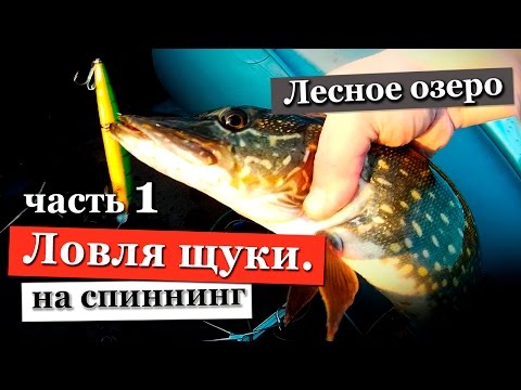 рыбалка в лен.обл на щуку весной рыбалка в лен.обл на щуку весной