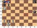 Chess Network: Checkmate Puzzles