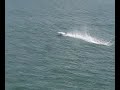 10052008 Jolly  1 Frits Rc-boat Catamaran Vienna