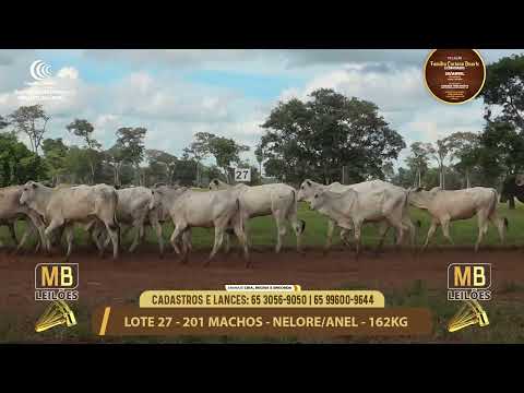 11� LEIL�O FAM�LIA LUCIANO DUARTE E CONVIDADOS