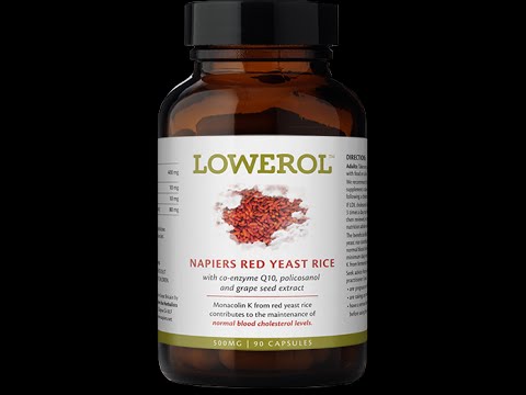 how to treat high cholesterol