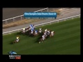 2011 Dubai Sheema Classic (G1), REWILDING