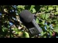 Canon 5D2 converted to cineform avi 24p. Zoom H4n internal microphones