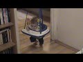 enzo qui bondit