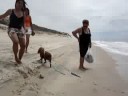mel na praia fontes2