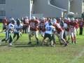 VIKING D SWARMING!!!