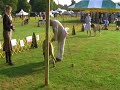 Mastiff Veteran Sweeps - Somerset 2007