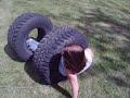 Redneck Lawn Surfing Part 2