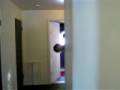 videos de Creepy Wall Crawl
