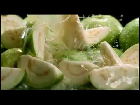 how to harvest guava