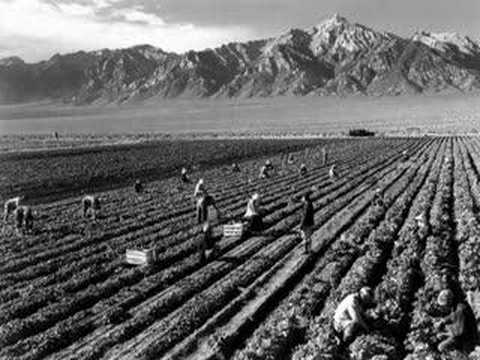 ANSEL ADAMS