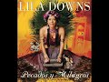 Pecadora Lila Downs Feat Illya Kuryaki and The Valderramas