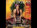 Pecadora Lila Downs Feat Illya Kuryaki and The Valderramas