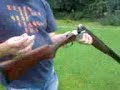clay pigeon shooting