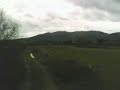 lagoa de Bertiandos - campos agrícolas