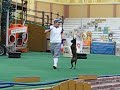 Petz Rule!  Hopping Dog