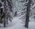 snowboard-jump.html
